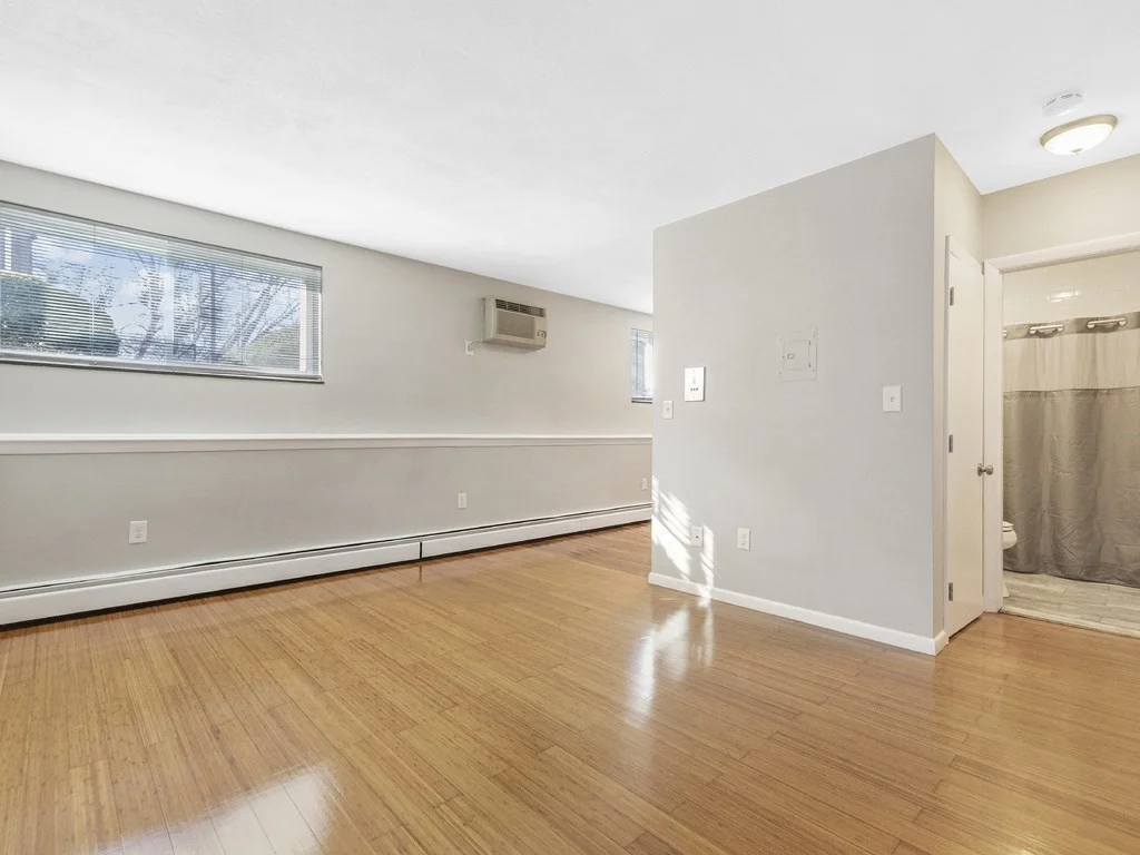 Studio bed, 1 bath apartment for rent at 180 River St Unit A4, Waltham — photo 4 of 23