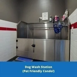 1 bed, 1 bath apartment for rent at 180 Telford St Unit 36, Lower Allston — photo 24 of 26