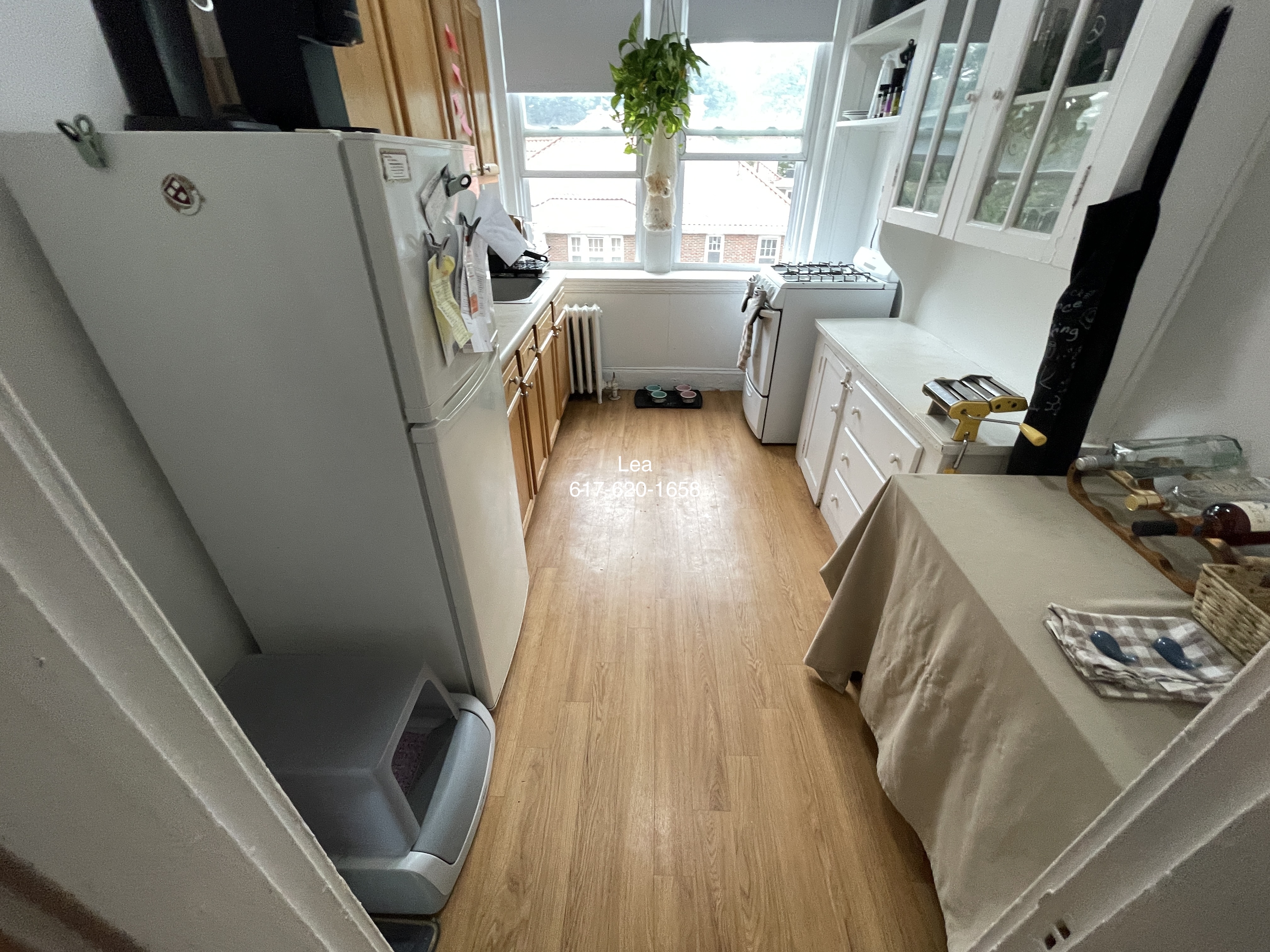 1 bed, 1 bath apartment for rent at 1800 Commonwealth Ave Unit 22, Brighton — photo 12 of 14
