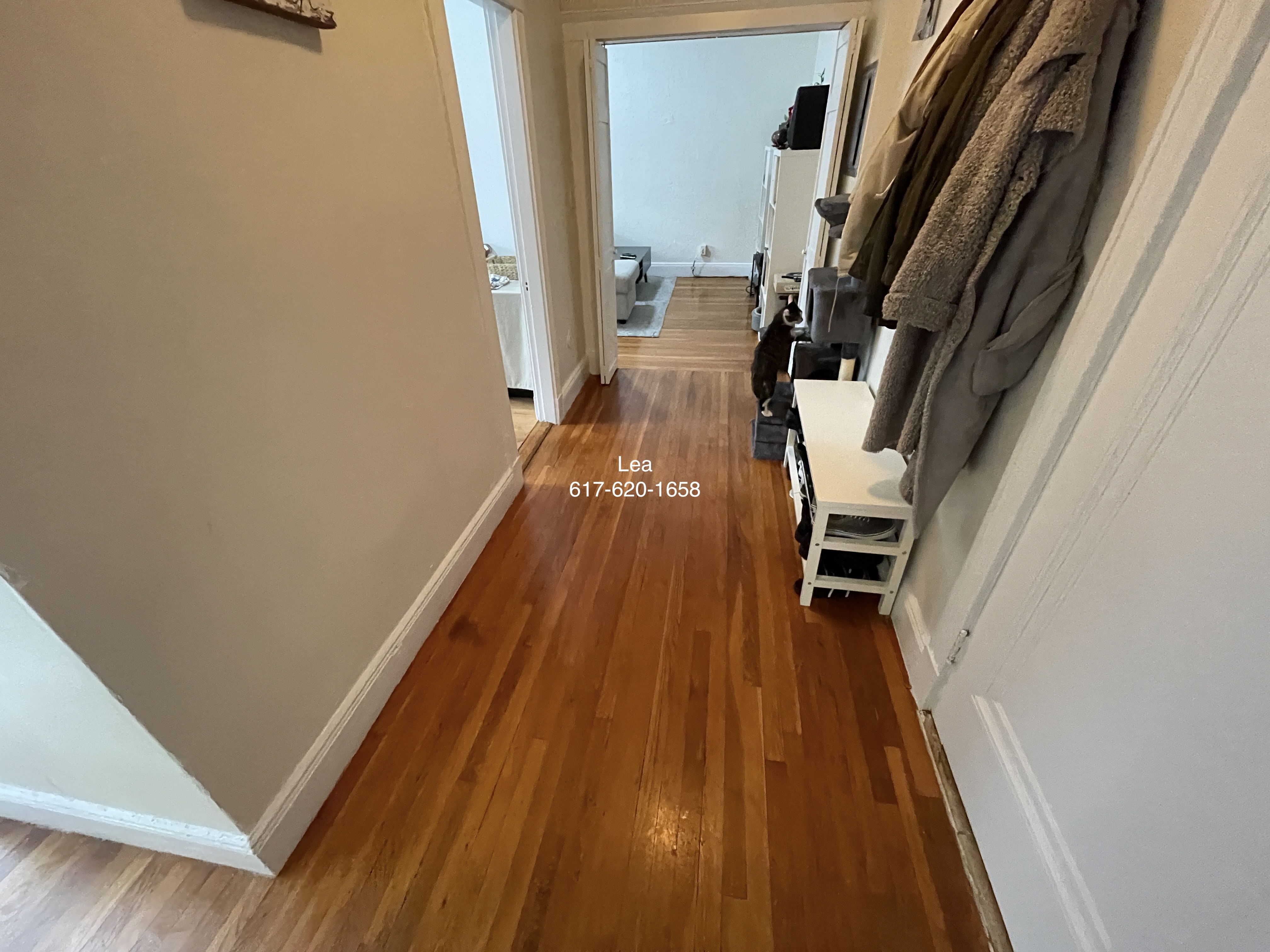 1 bed, 1 bath apartment for rent at 1800 Commonwealth Ave Unit 22, Brighton — photo 10 of 14