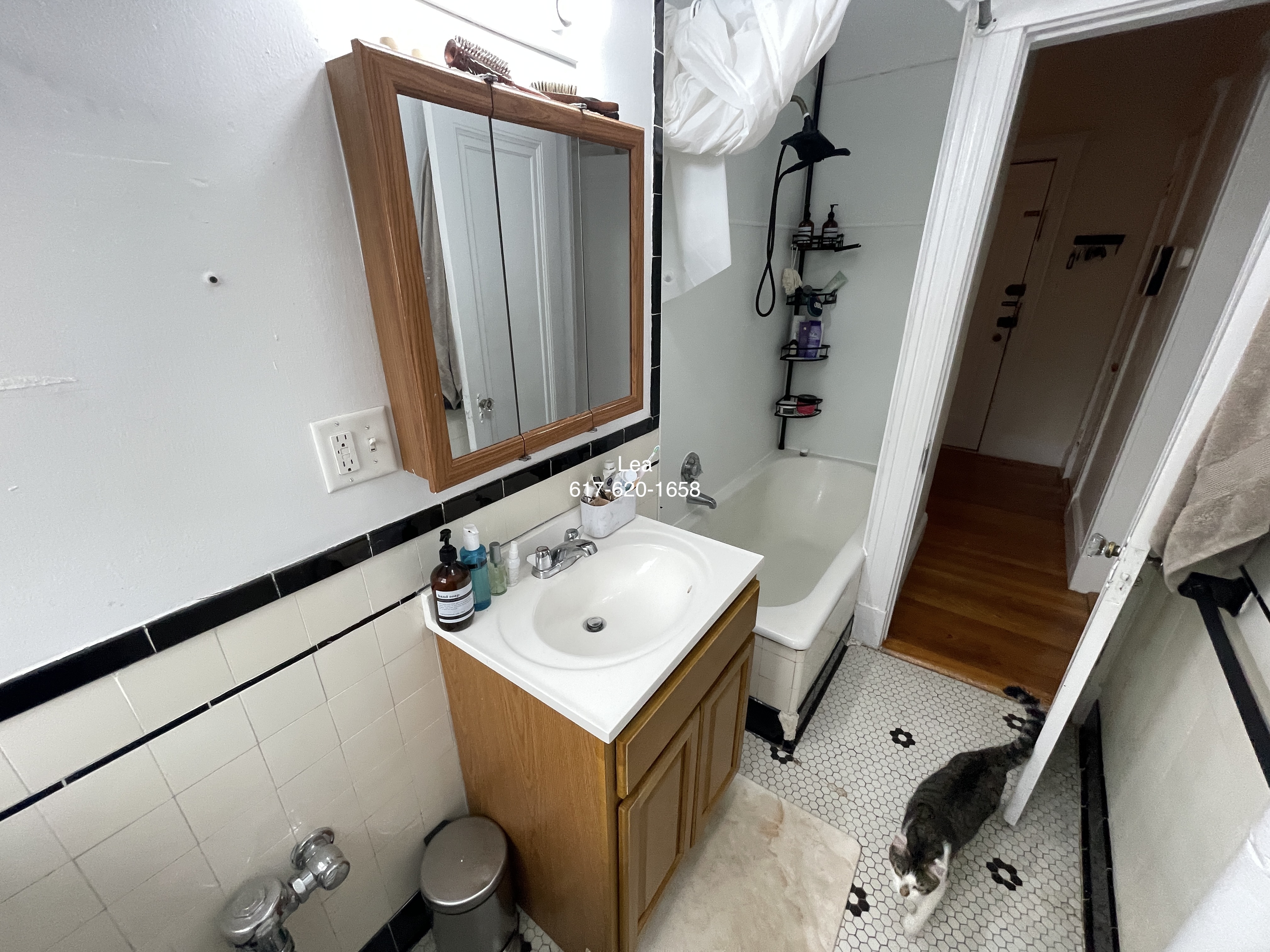 1 bed, 1 bath apartment for rent at 1800 Commonwealth Ave Unit 22, Brighton — photo 8 of 14