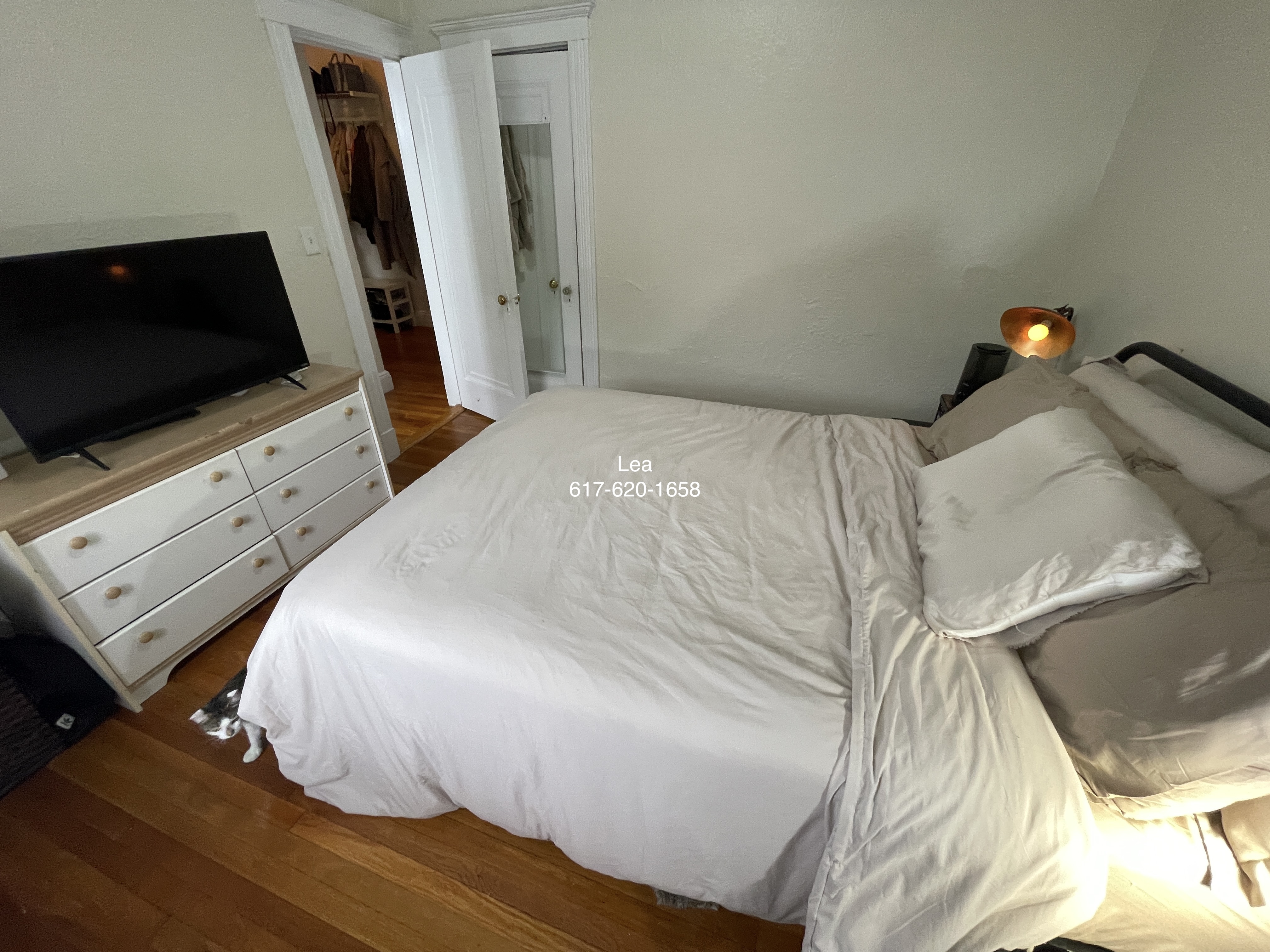 1 bed, 1 bath apartment for rent at 1800 Commonwealth Ave Unit 22, Brighton — photo 6 of 14
