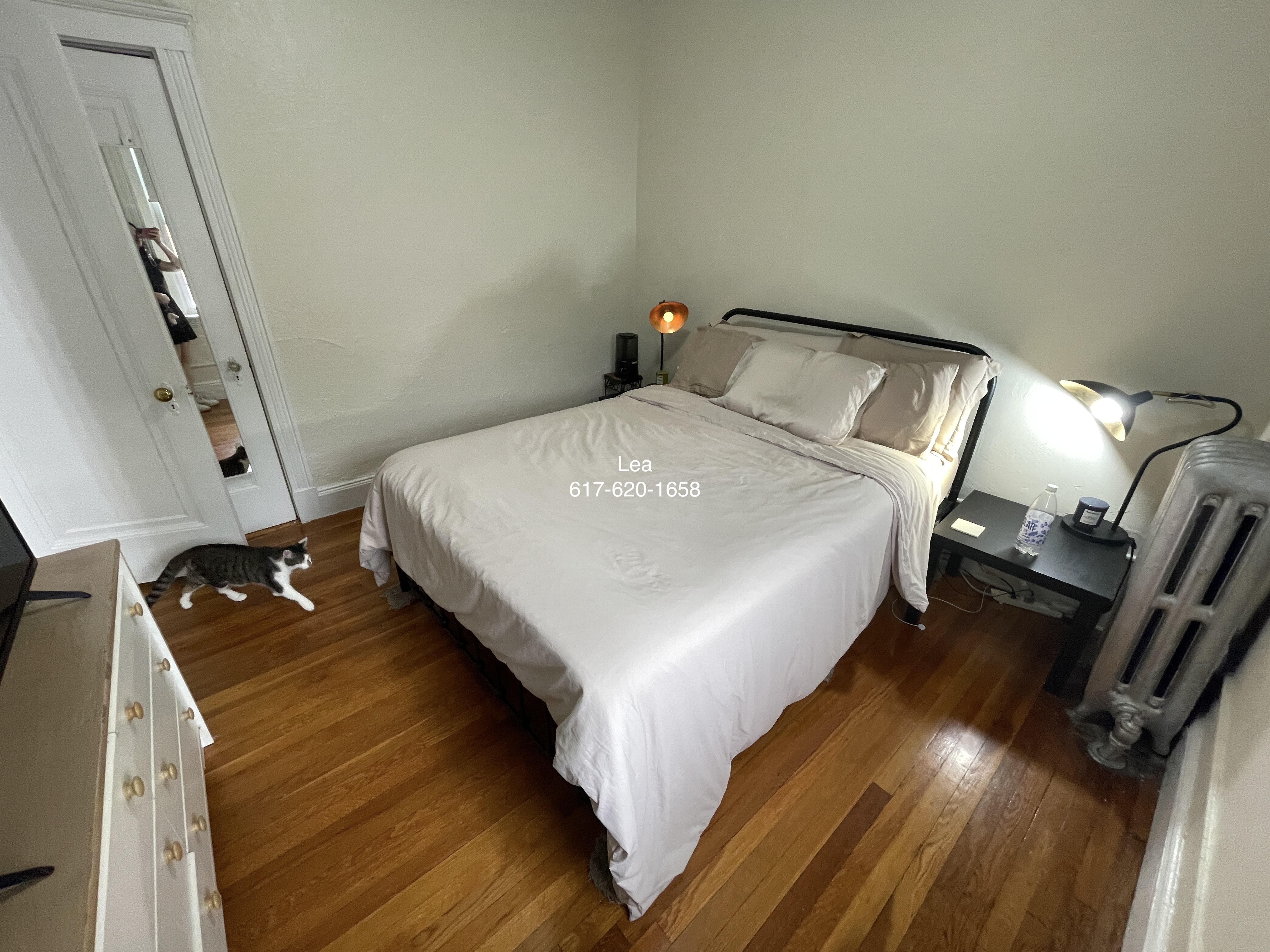 1 bed, 1 bath apartment for rent at 1800 Commonwealth Ave Unit 22, Brighton — photo 5 of 14