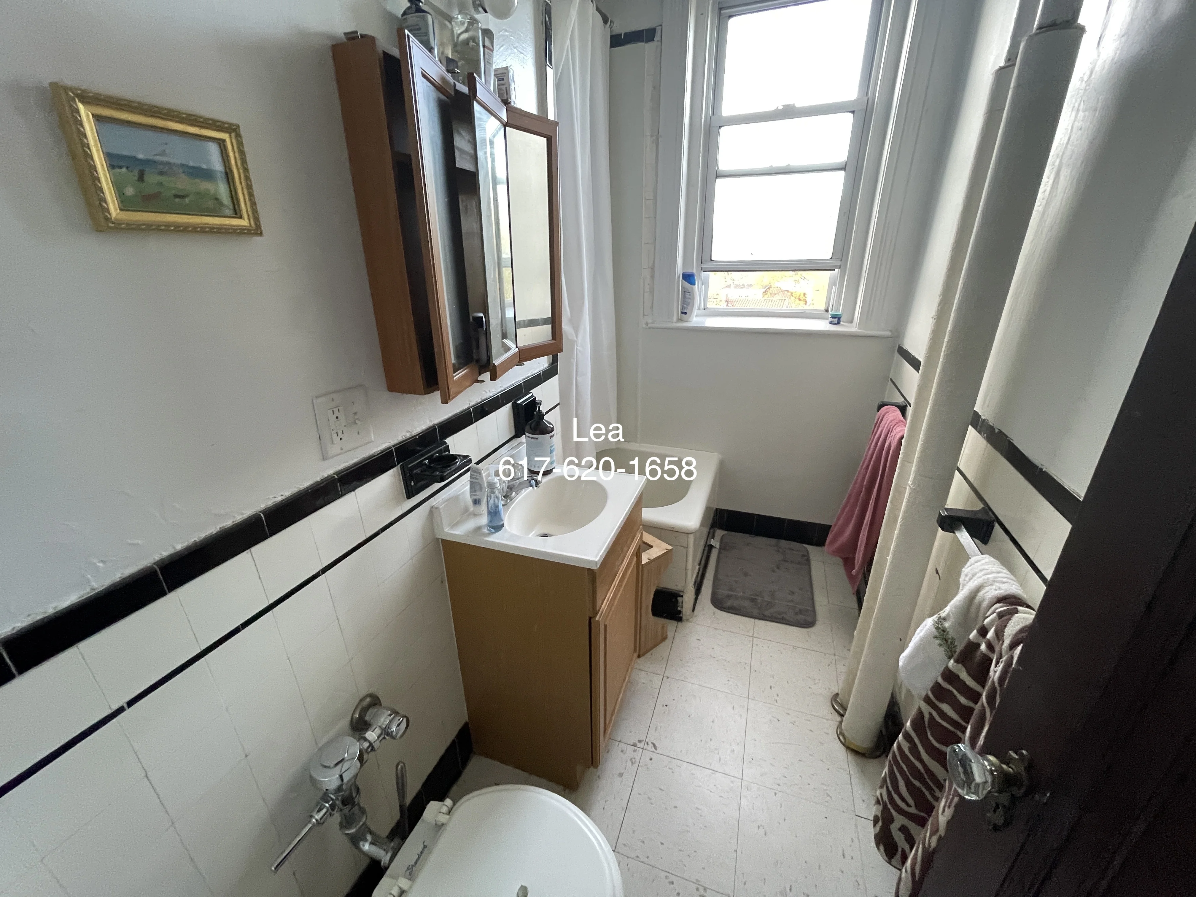 1 bed, 1 bath apartment for rent at 1800 Commonwealth Ave Unit 30, Brighton — photo 6 of 8