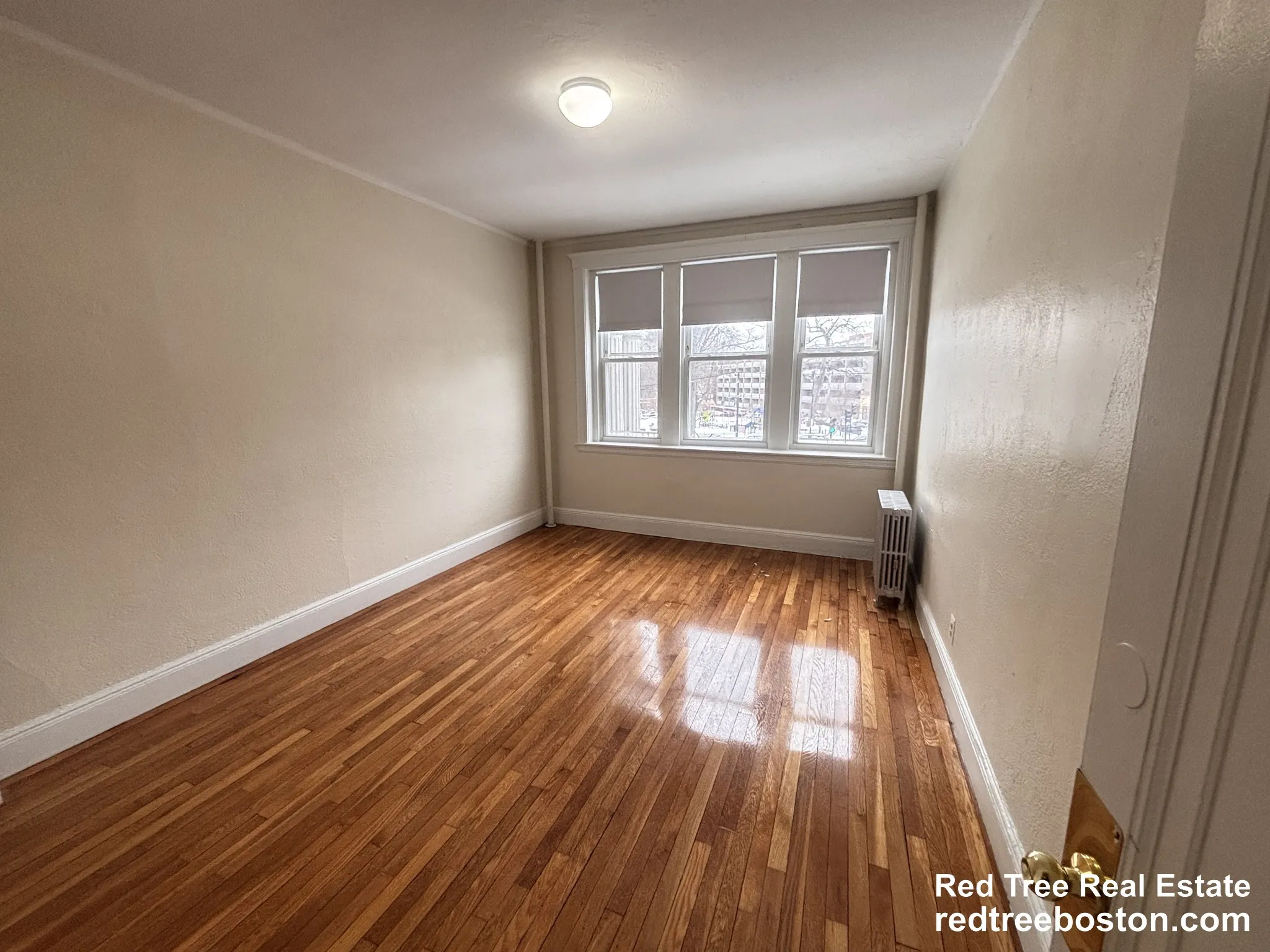 2 bed, 1 bath apartment for rent at 1800 Commonwealth Ave Unit 8, Brighton — photo 3 of 14