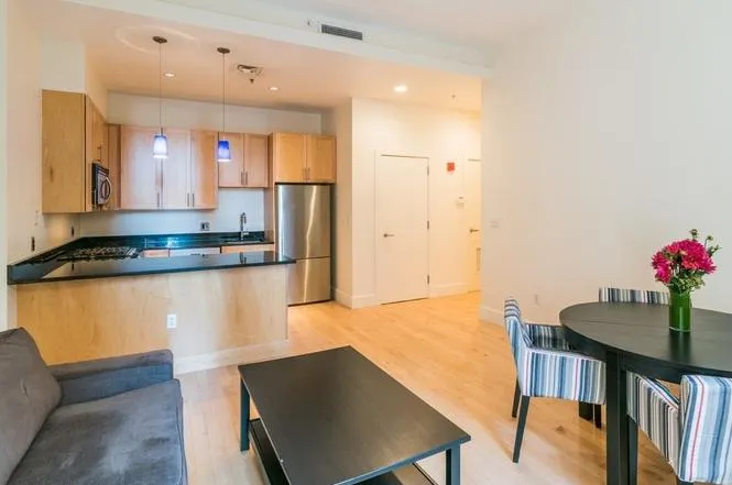 1 bed, 1 bath apartment for rent at 181 Essex St Unit E205, Leather District — photo 5 of 9