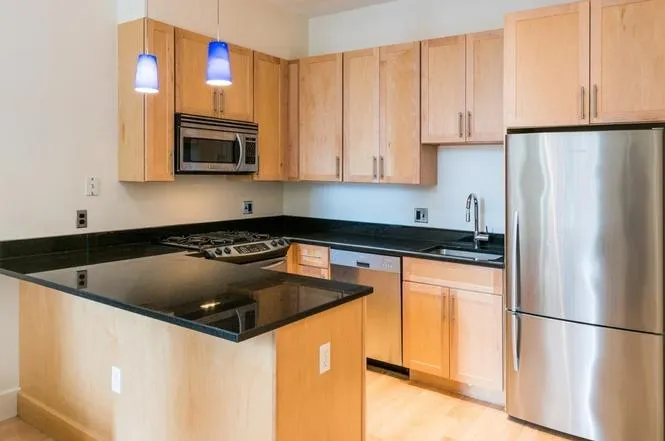 1 bed, 1 bath apartment for rent at 181 Essex St Unit E205, Leather District — photo 6 of 9