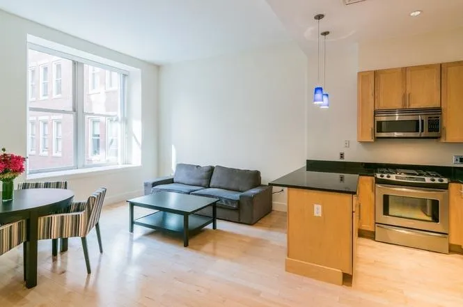 1 bed, 1 bath apartment for rent at 181 Essex St Unit E205, Leather District — photo 4 of 9
