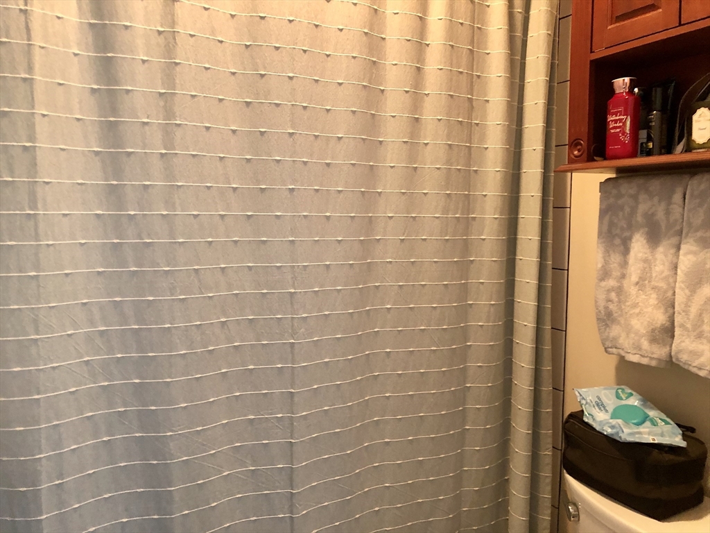 1 bed, 1 bath apartment for rent at 181 K St Unit 2, South Boston — photo 7 of 11