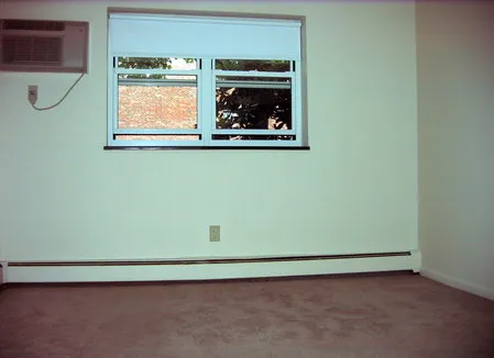 1 bed, 1 bath apartment for rent at 181 Lexington St Unit 24, Auburndale — photo 5 of 11
