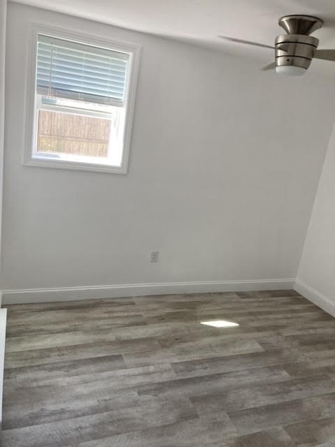 1 bed, 1 bath apartment for rent at 181 S Main St Unit 6, Attleboro — photo 3 of 5