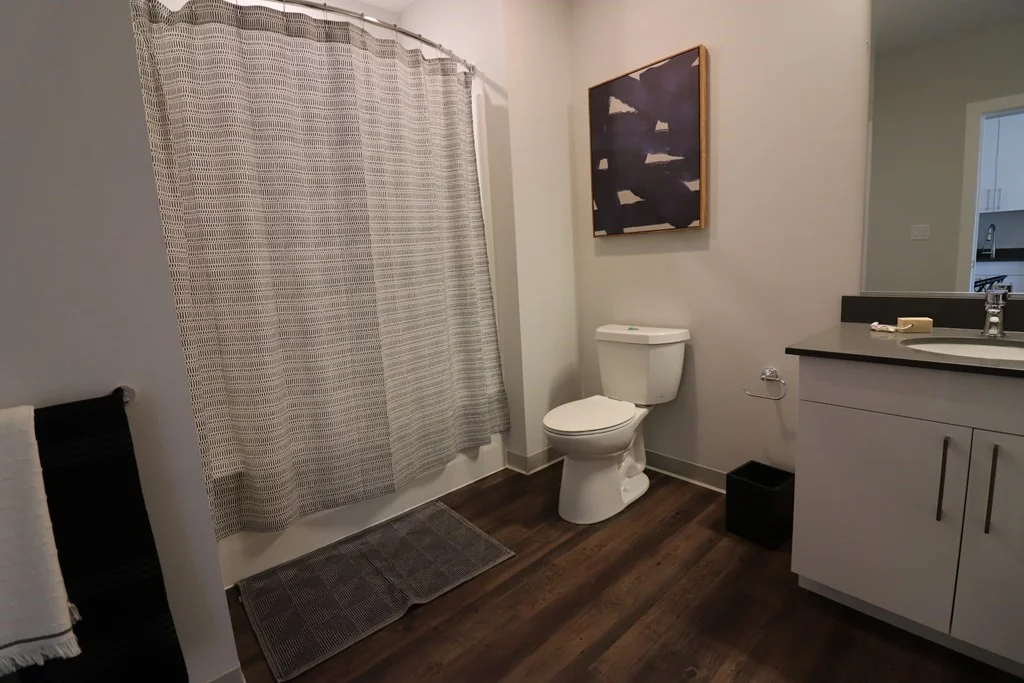 2 bed, 2 bath apartment for rent at 181 Washington St Unit 3101, Brighton — photo 8 of 21
