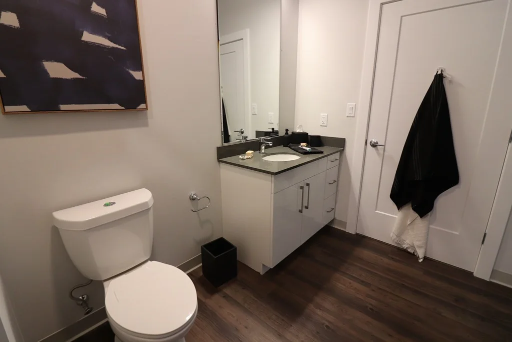 2 bed, 2 bath apartment for rent at 181 Washington St Unit 3101, Brighton — photo 10 of 21