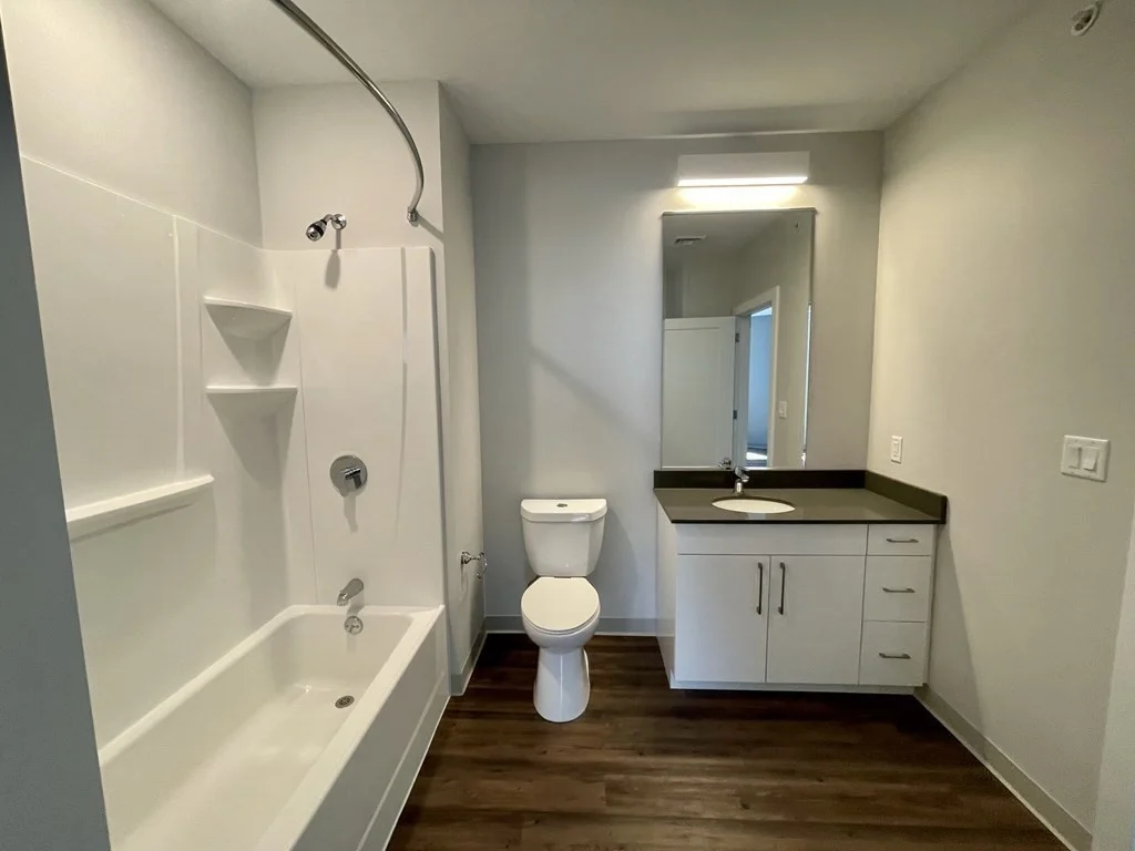 2 bed, 2 bath apartment for rent at 181 Washington St Unit 3614, Brighton — photo 8 of 22