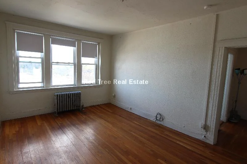1 bed, 1 bath apartment for rent at 1810 Commonwealth Ave Unit 36, Brighton — photo 1 of 9