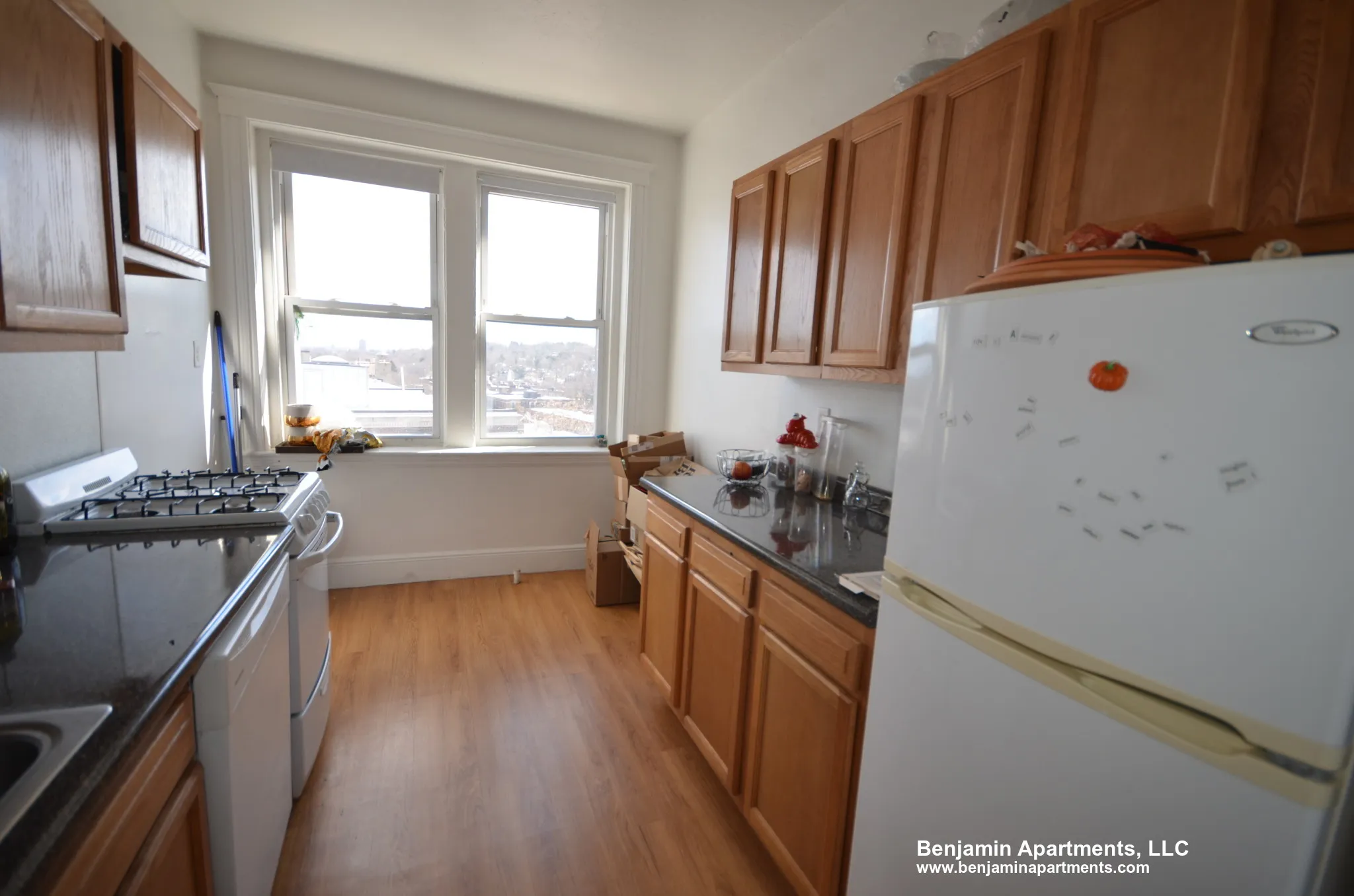1 bed, 1 bath apartment for rent at 1810 Commonwealth Ave Unit 36E, Brighton — photo 4 of 8