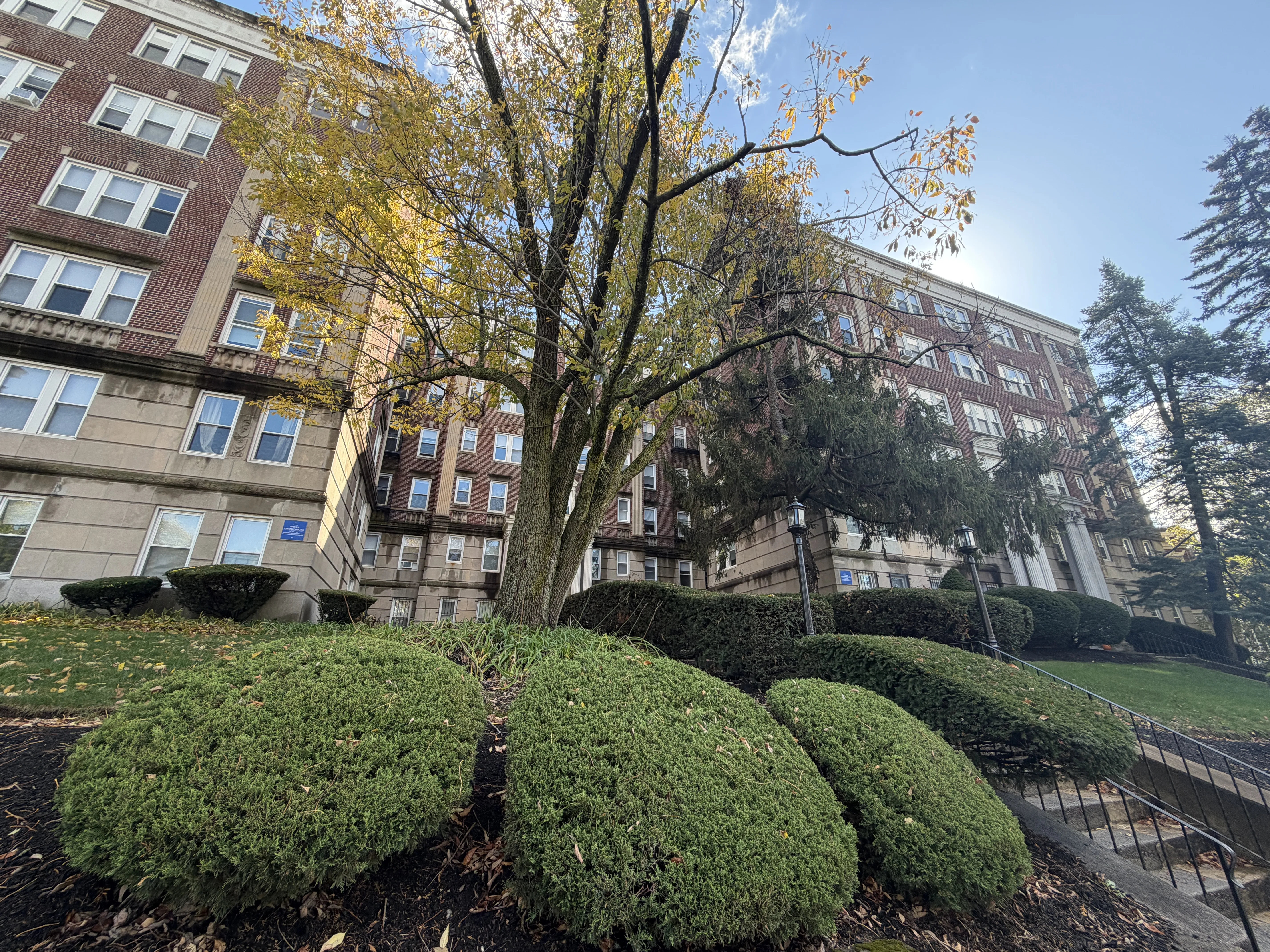 1 bed, 1 bath apartment for rent at 1810 Commonwealth Ave Unit 9, Brighton — photo 13 of 22