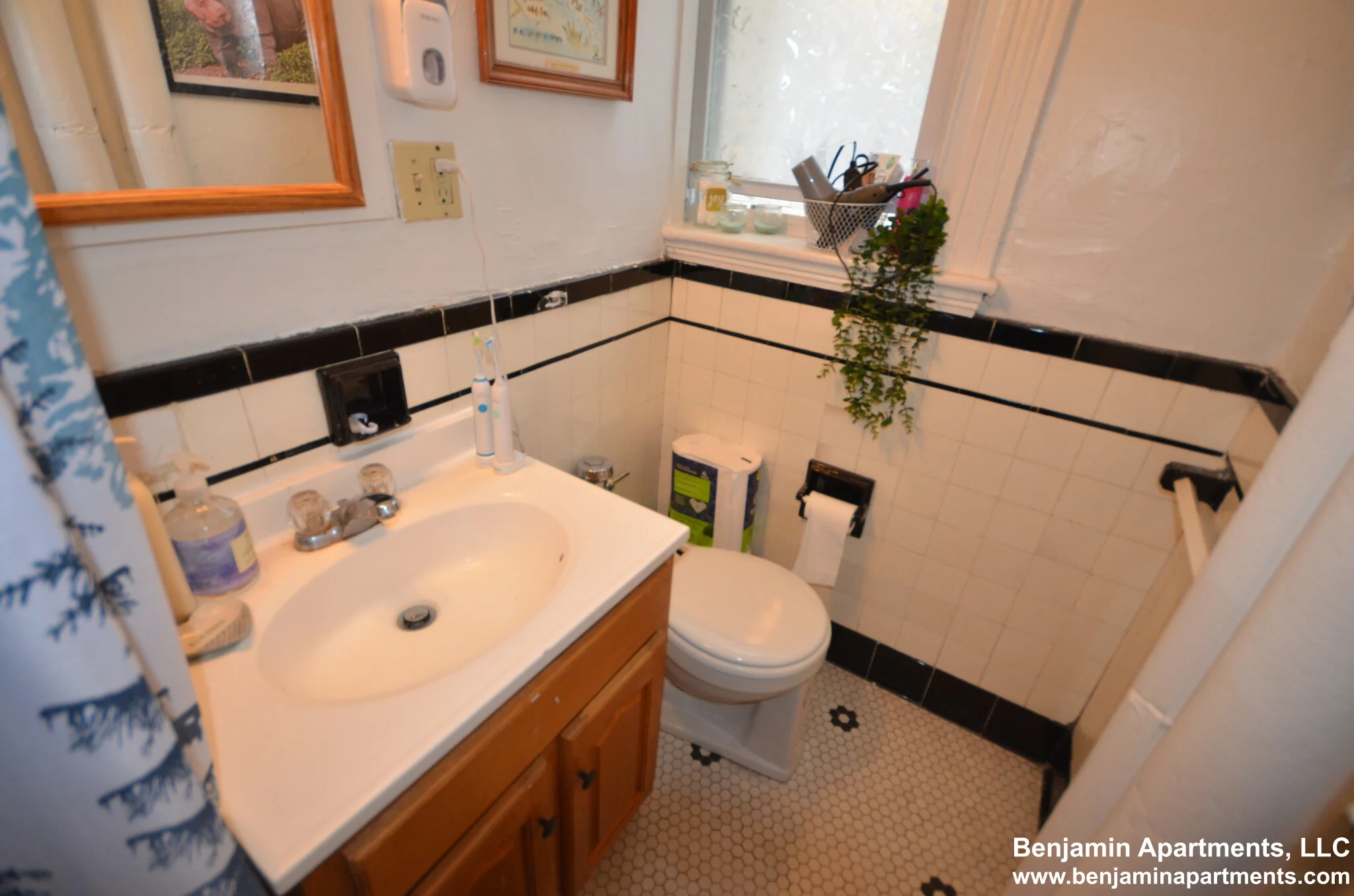 1 bed, 1 bath apartment for rent at 1810 Commonwealth Ave Unit 9O, Brighton — photo 8 of 8