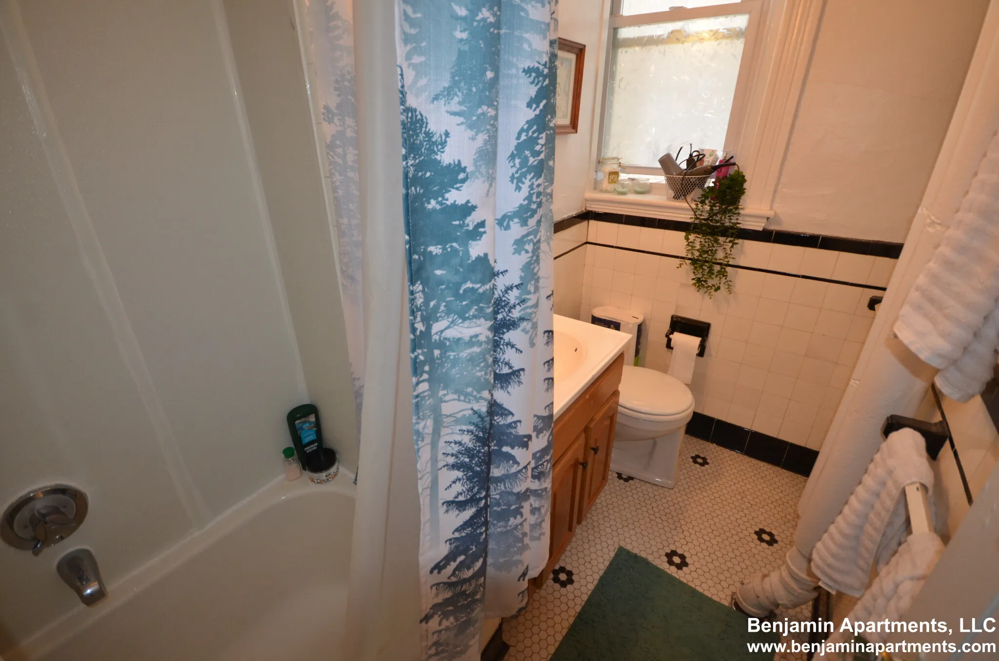 1 bed, 1 bath apartment for rent at 1810 Commonwealth Ave Unit 9O, Brighton — photo 7 of 8