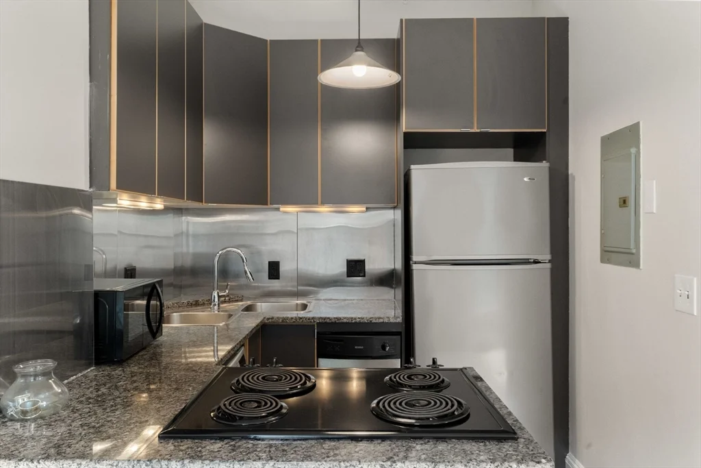 1 bed, 1 bath apartment for rent at 182 West Brookline St Unit 3, South End — photo 8 of 28