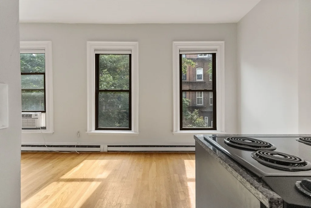 1 bed, 1 bath apartment for rent at 182 West Brookline St Unit 3, South End — photo 10 of 28