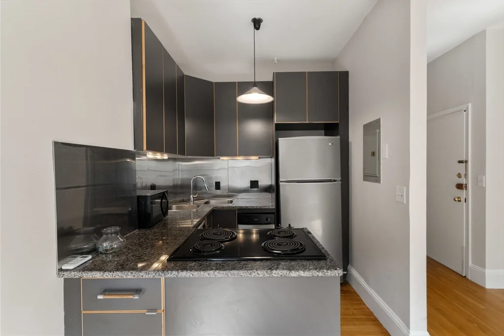 1 bed, 1 bath apartment for rent at 182 West Brookline St Unit 3, South End — photo 9 of 28