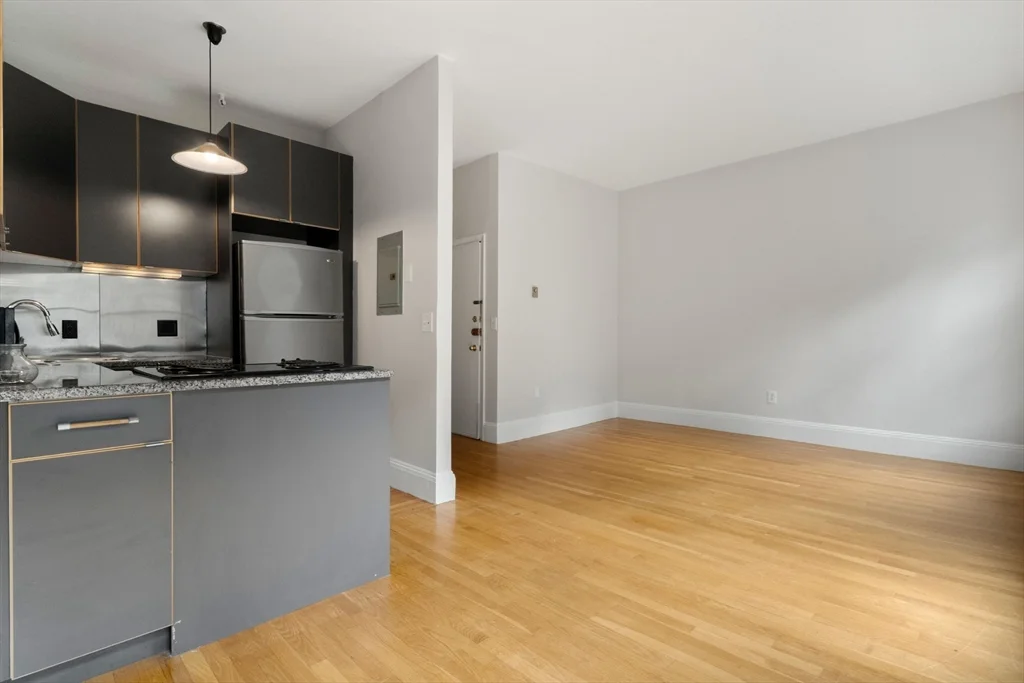 1 bed, 1 bath apartment for rent at 182 West Brookline St Unit 3, South End — photo 3 of 28