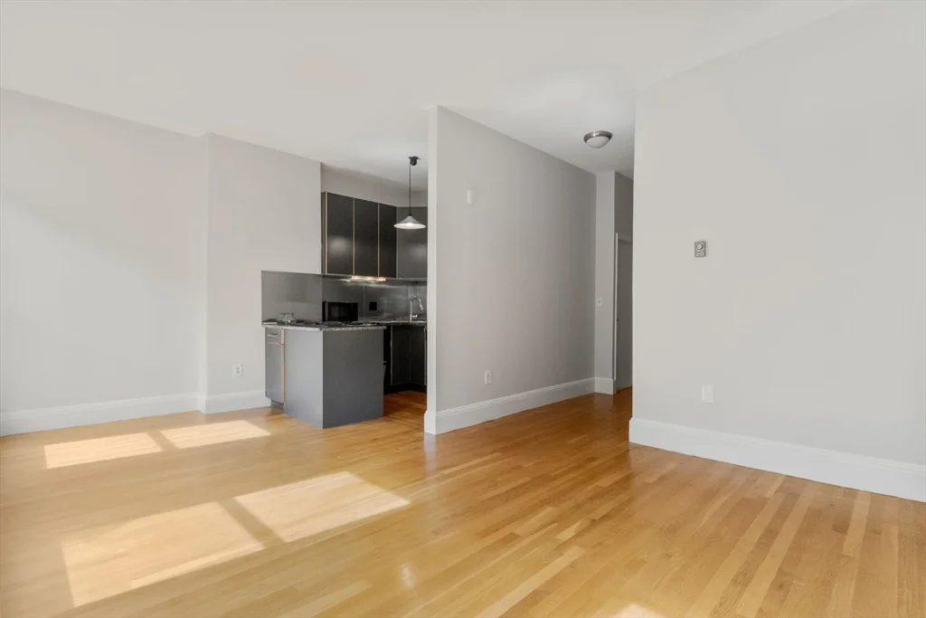 1 bed, 1 bath apartment for rent at 182 West Brookline St Unit 3, South End — photo 11 of 28