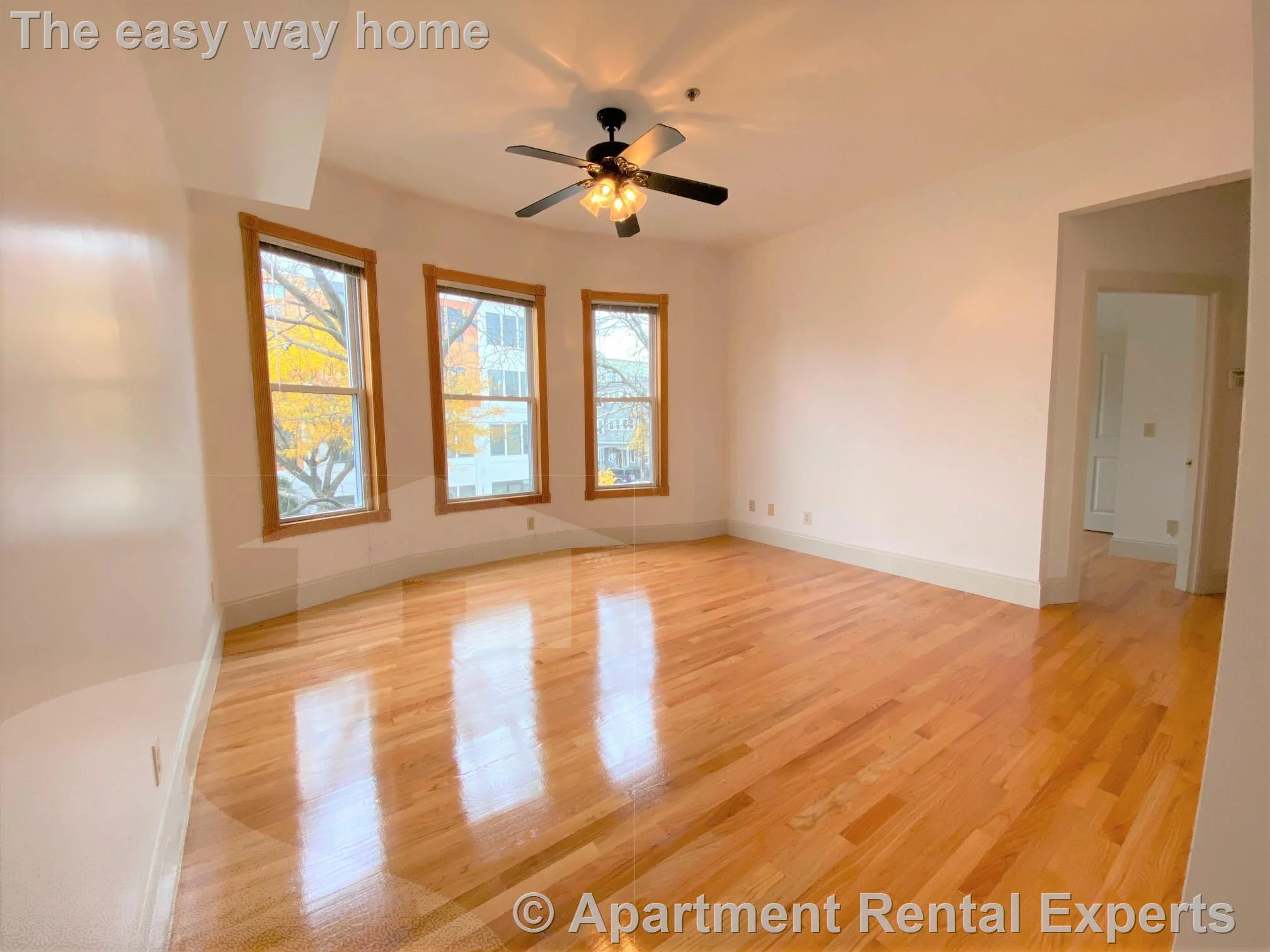 2 bed, 1 bath apartment for rent at 183 Columbia St Unit 203, Central Square — photo 4 of 10
