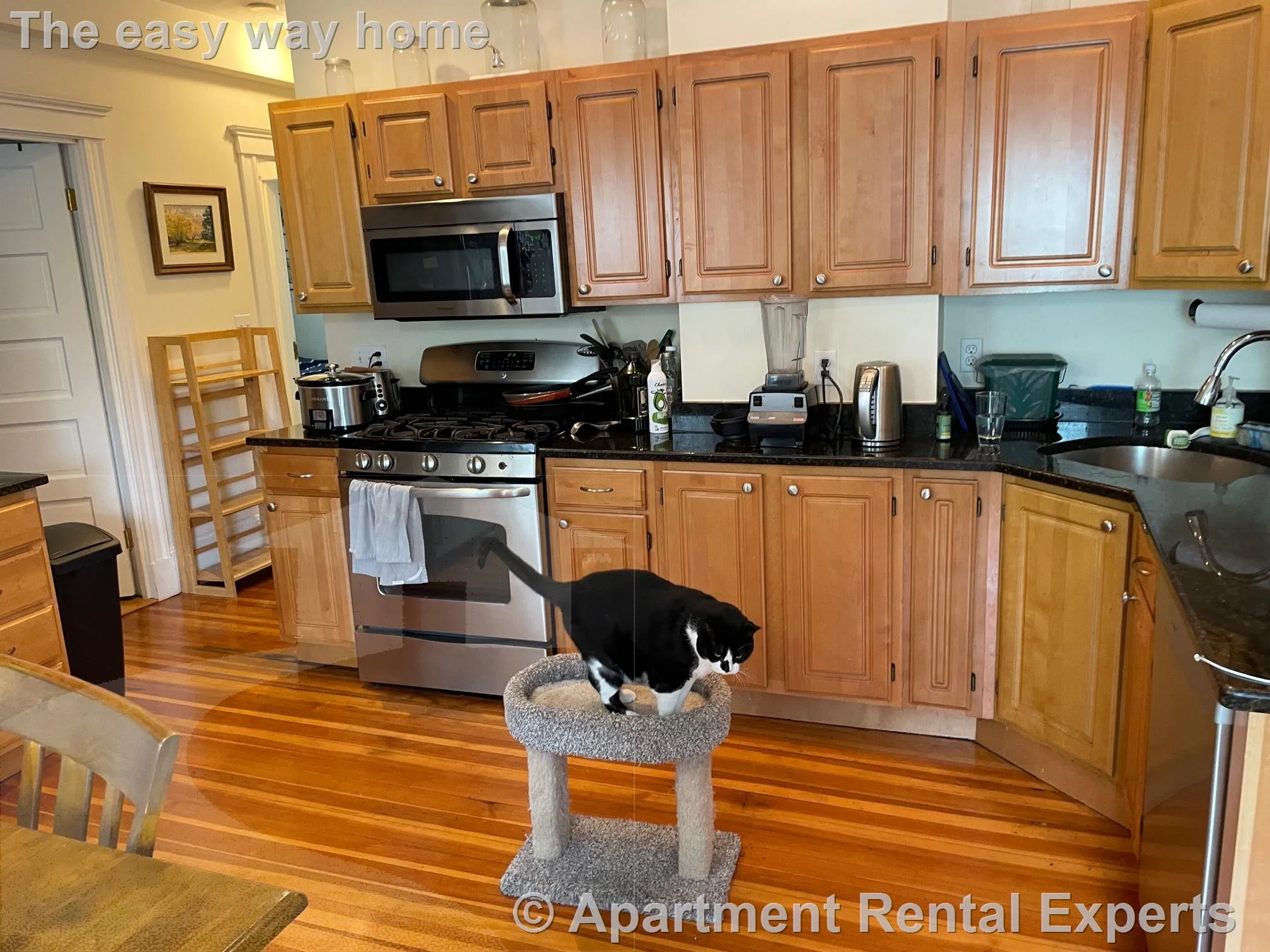3 bed, 2 bath apartment for rent at 183 Rindge Ave Unit 2, North Cambridge — photo 5 of 21