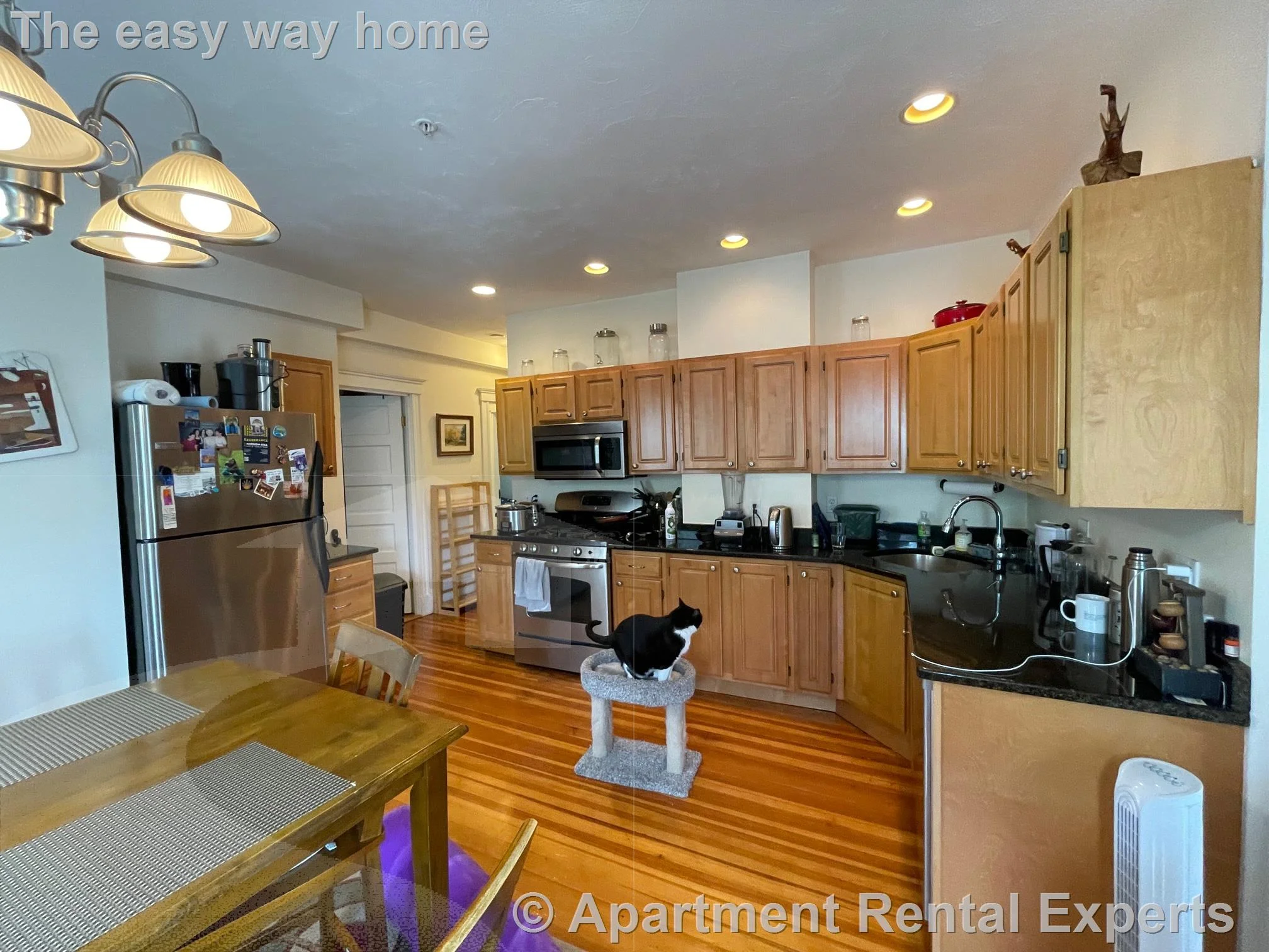 3 bed, 2 bath apartment for rent at 183 Rindge Ave Unit 2, North Cambridge — photo 4 of 21
