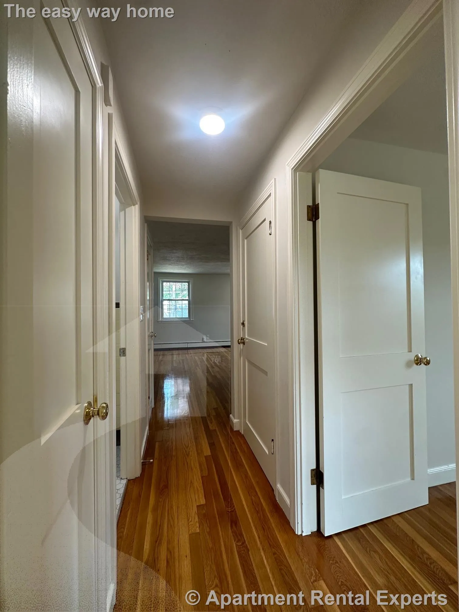 1 bed, 1 bath apartment for rent at 184 Broadway Unit 3, Wakefield — photo 8 of 10