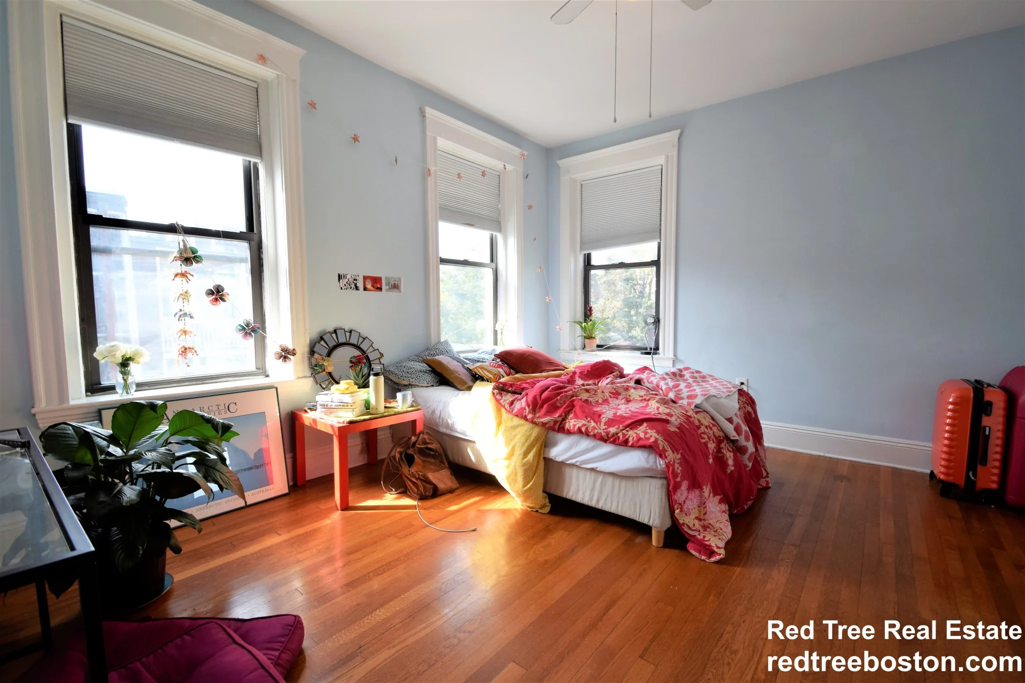 5 bed, 2 bath apartment for rent at 184 Saint Paul St Unit 3, Brookline — photo 16 of 18
