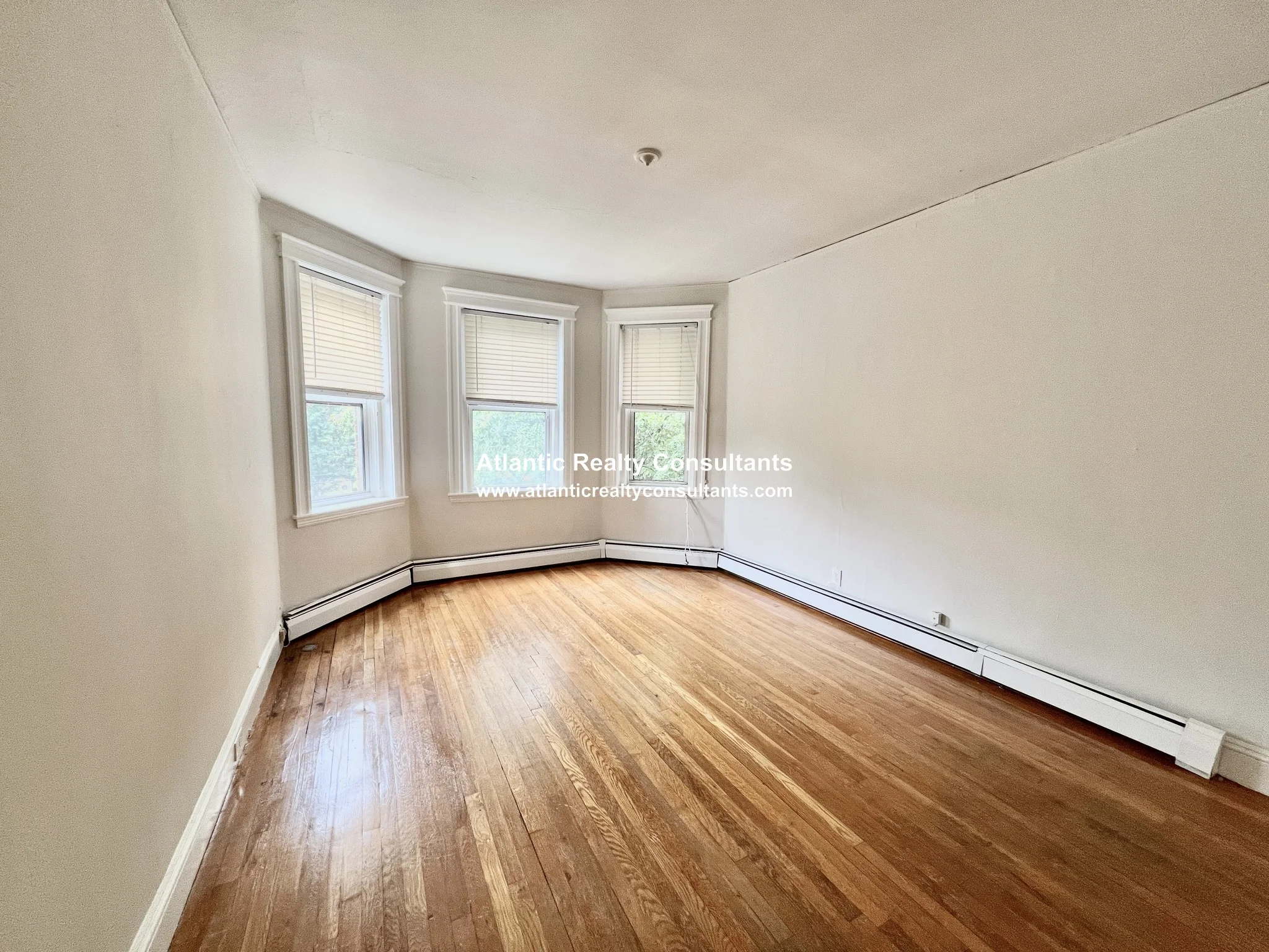 1 bed, 1 bath apartment for rent at 1840 Commonwealth Ave Unit 170, Brighton — photo 2 of 11