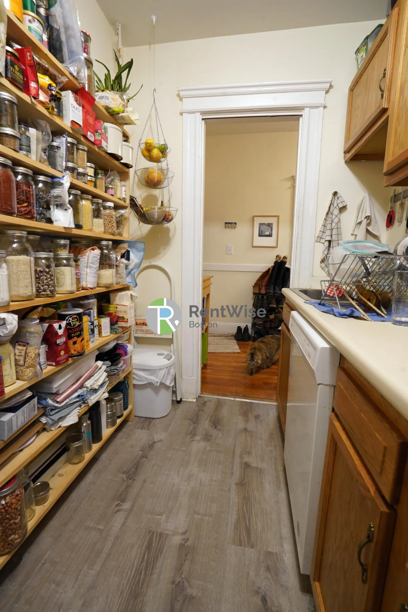 2 bed, 1 bath apartment for rent at 1846 Commonwealth Ave Unit 4, Brighton — photo 9 of 23