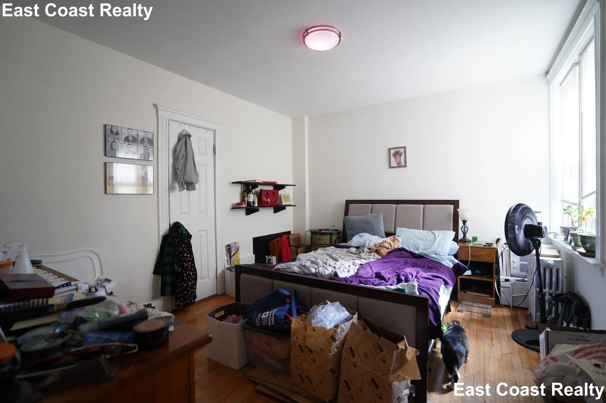 1 bed, 1 bath apartment for rent at 1848 Commonwealth Ave Unit 21, Brighton — photo 4 of 13