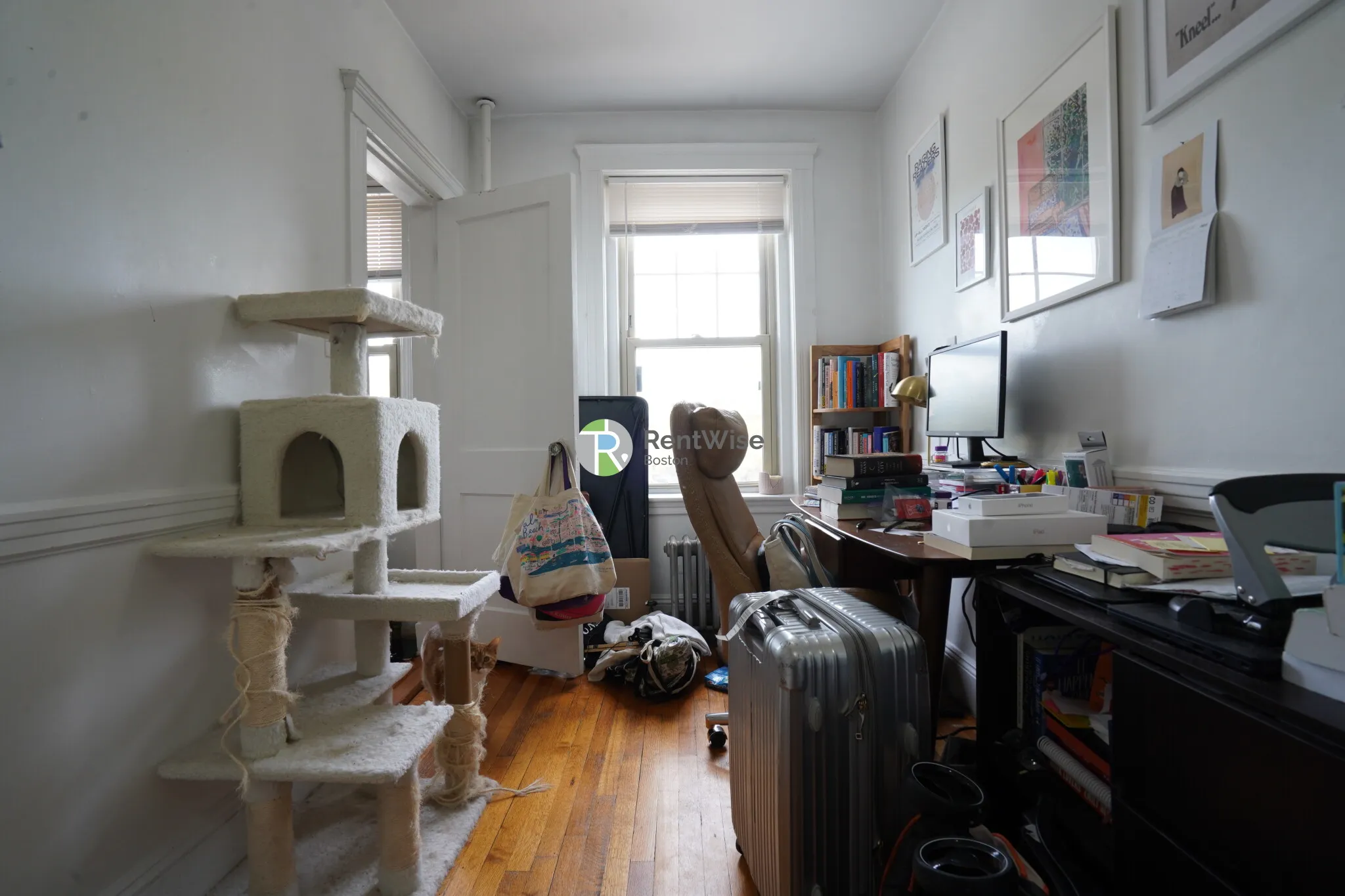 Studio bed, 1 bath apartment for rent at 1848 Commonwealth Ave Unit 43, Brighton — photo 9 of 23