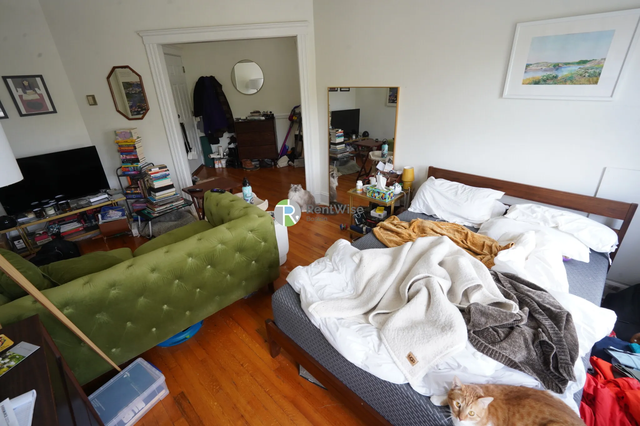 Studio bed, 1 bath apartment for rent at 1848 Commonwealth Ave Unit 43, Brighton — photo 5 of 23