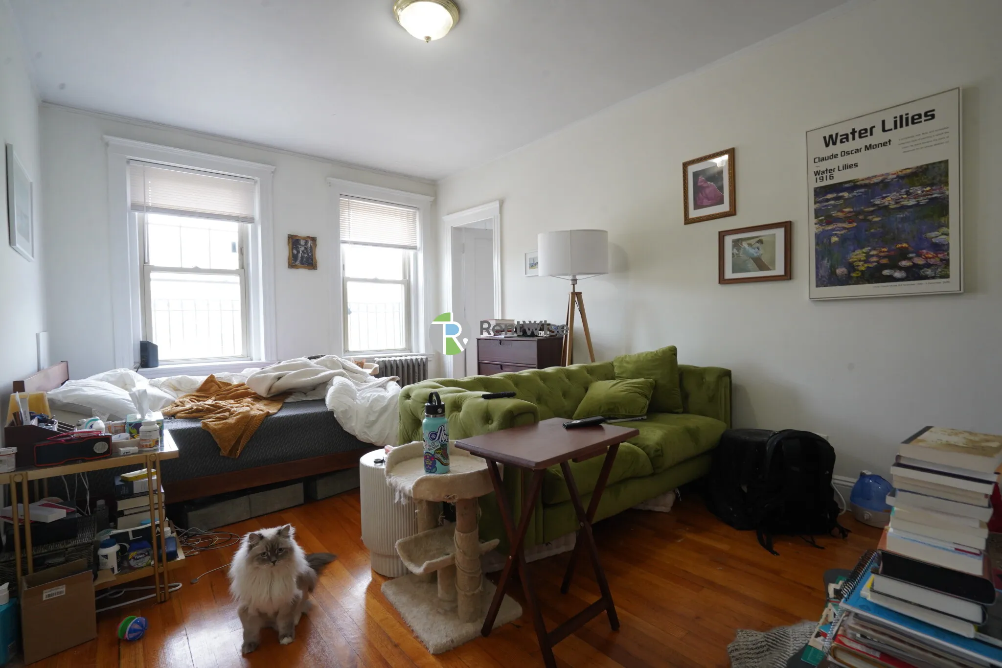 Studio bed, 1 bath apartment for rent at 1848 Commonwealth Ave Unit 43, Brighton — photo 2 of 23