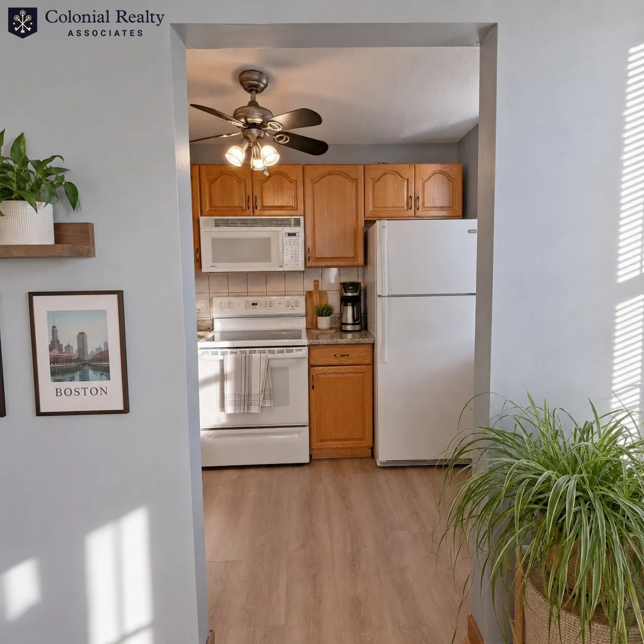 1 bed, 1 bath apartment for rent at 1880 Commonwealth Ave Unit 14, Brighton — photo 6 of 30