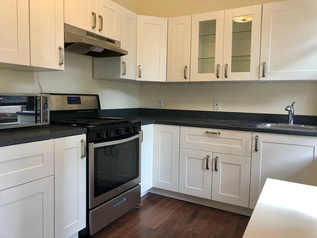 1 bed, 1 bath apartment for rent at 189 Chestnut Hill Ave Unit 15, Brighton