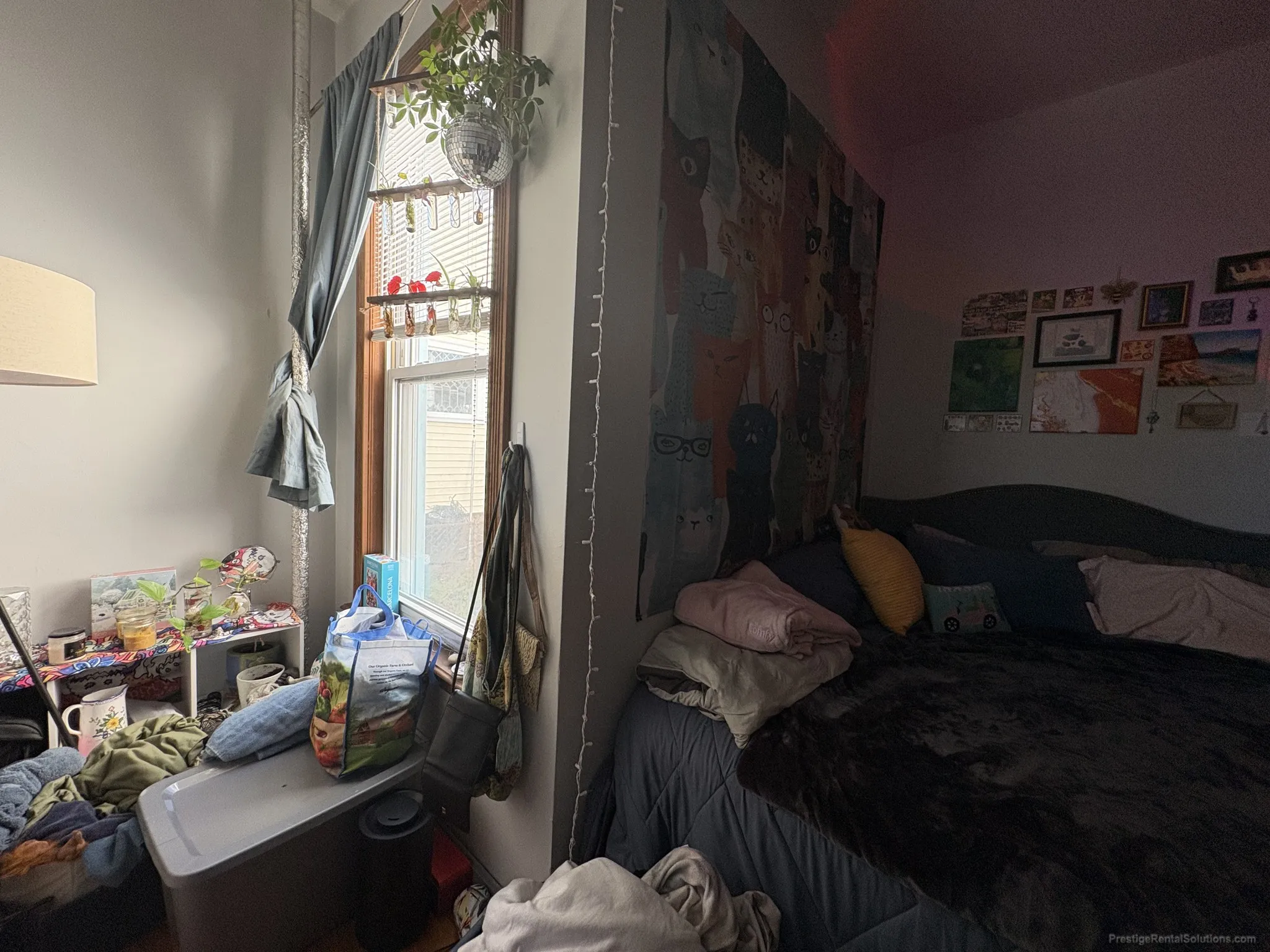 4 bed, 2 bath apartment for rent at 19 Ashford St Unit 1, Allston — photo 10 of 20