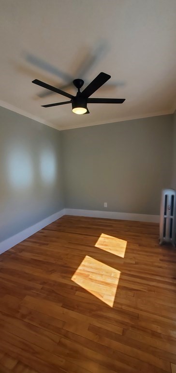 3 bed, 1 bath apartment for rent at 19 Brantwood Rd Unit 2Pl, Worcester — photo 7 of 13