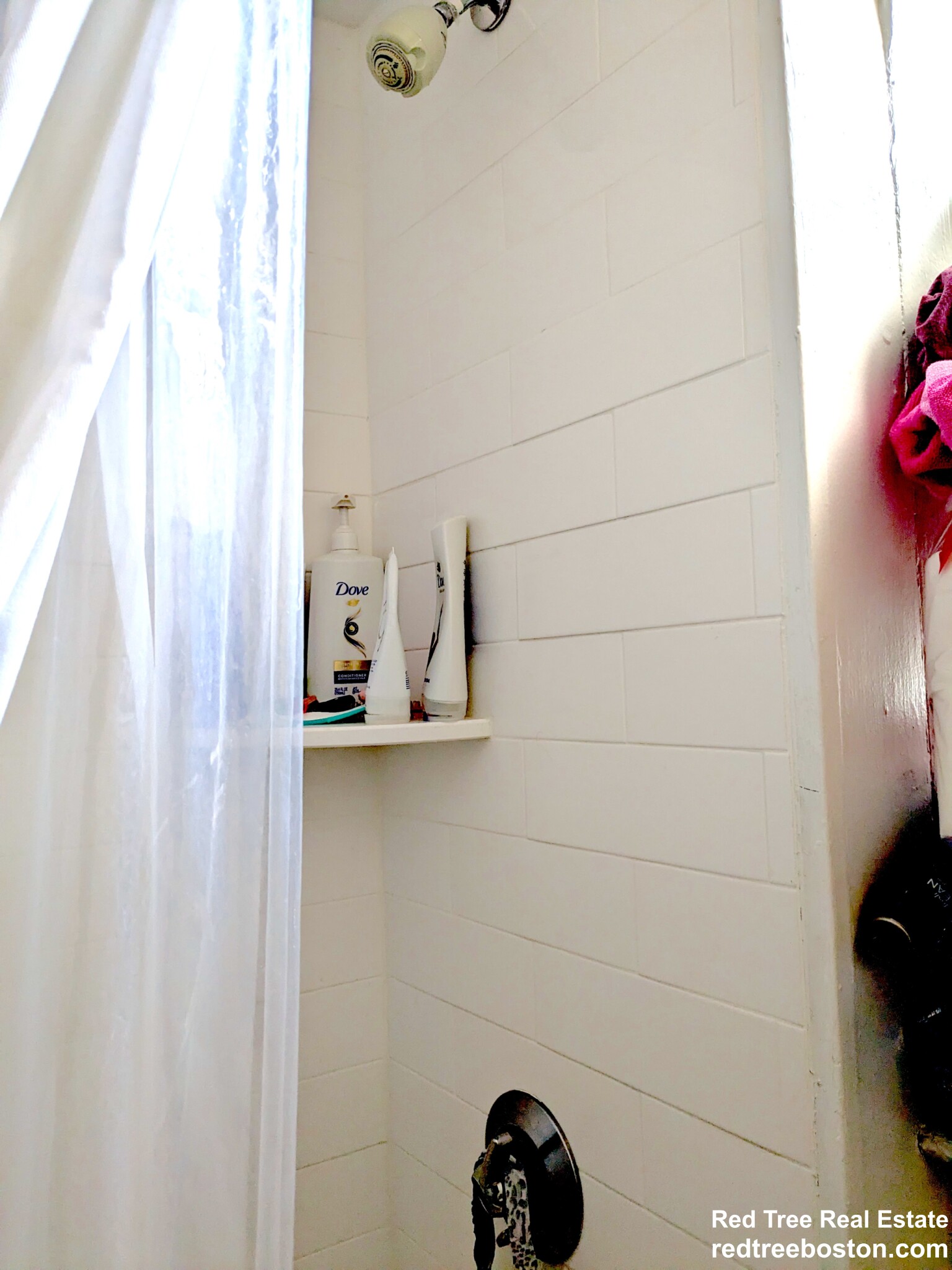 1 bed, 1 bath apartment for rent at 19 Brighton Ave Unit 1, Allston — photo 6 of 7