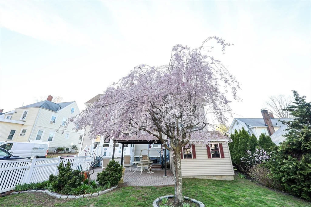 2 bed, 1 bath apartment for rent at 19 Burton Ter Unit 1, Weymouth — photo 33 of 34