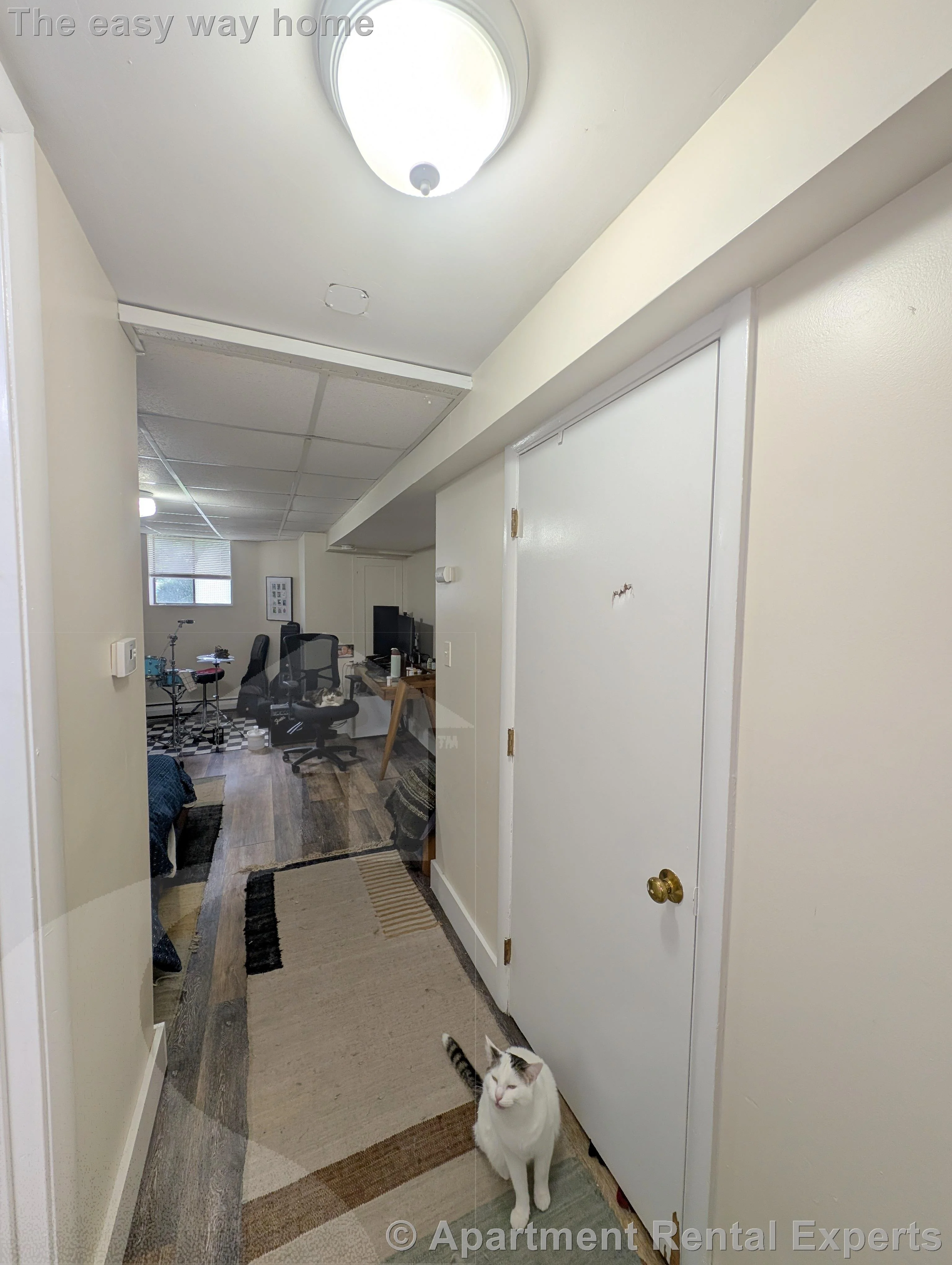 1 bed, 1 bath apartment for rent at 19 Cameron Ave Unit B, Davis Square — photo 4 of 10