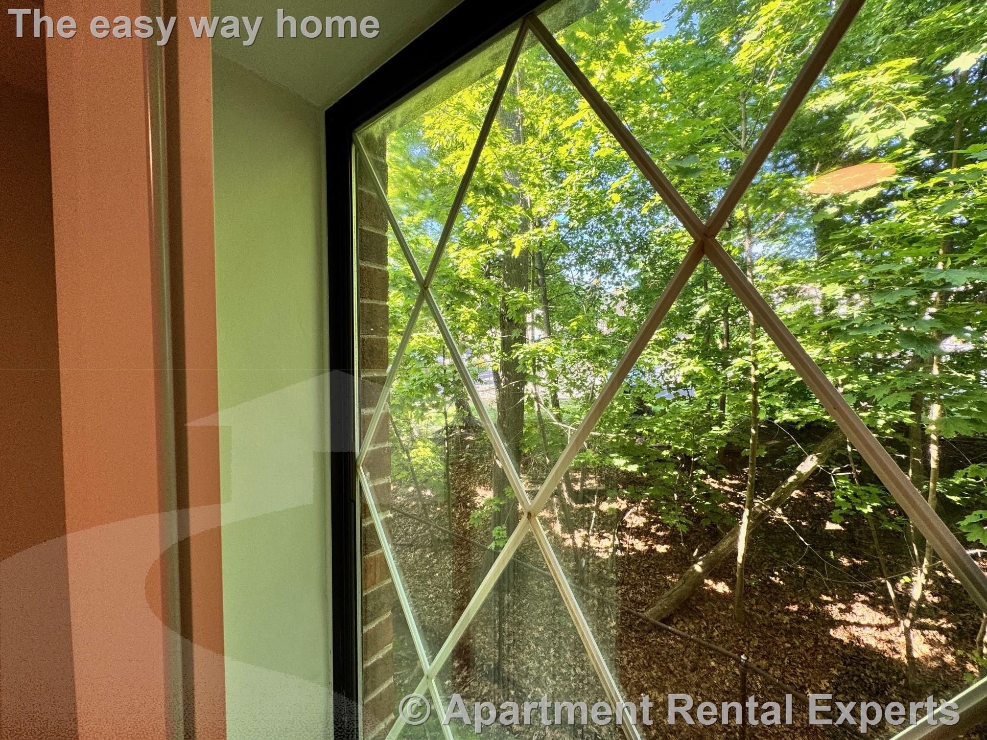 1 bed, 1 bath apartment for rent at 19 Central St Unit 14, Porter Square — photo 9 of 12