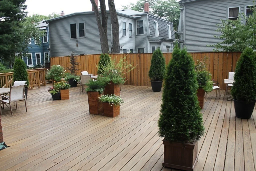 2 bed, 2 bath apartment for rent at 19 Chauncy St Unit 3B, Mid Cambridge — photo 11 of 15
