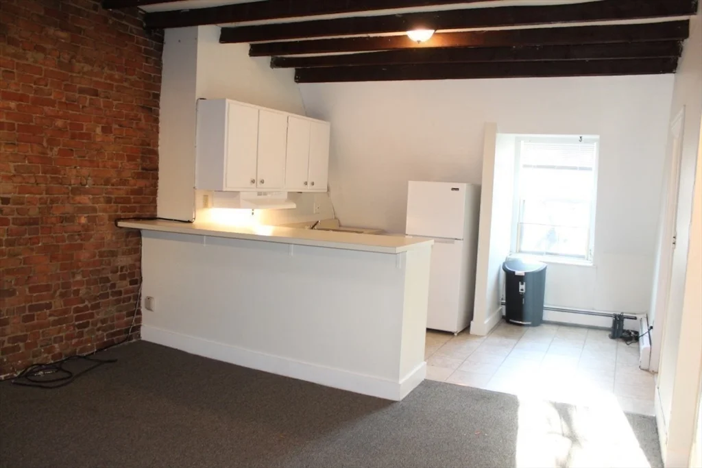 1 bed, 1 bath apartment for rent at 19 East Springfield St Unit 3, South End — photo 4 of 14