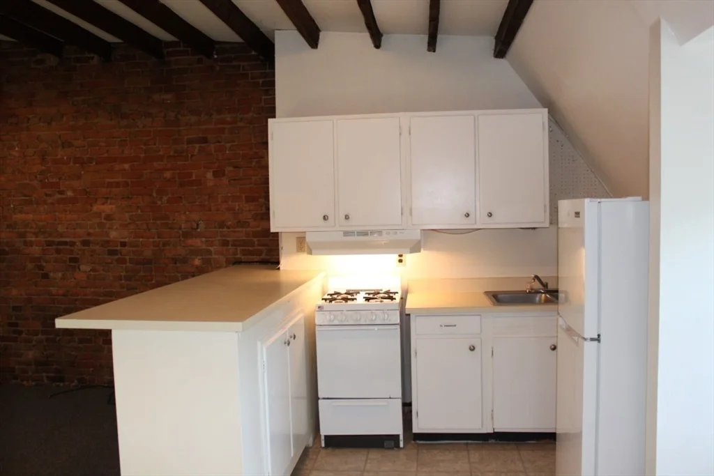 1 bed, 1 bath apartment for rent at 19 East Springfield St Unit 3, South End — photo 2 of 14